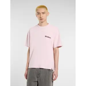 T-Shirt Dickies Slayden image-2