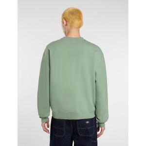 product/d/i/dickies_dk0a88bll191_sea-spray_3.jpg