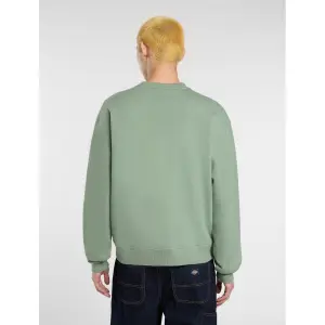 Sudadera Dickies Clancy image-3