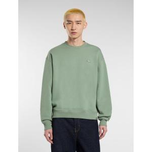 product/d/i/dickies_dk0a88bll191_sea-spray_5.jpg