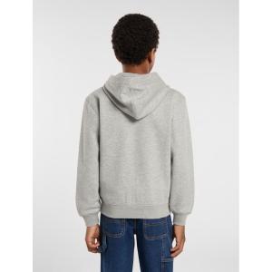 Kapuzenjacke Dickies Oakport image-2