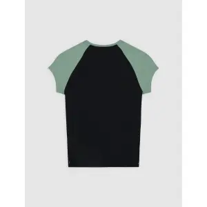Damen Raglan T-Shirt Dickies Forth Shaw image-3