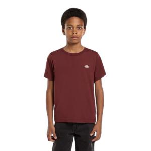 Kid's T-shirt Dickies Mapleton