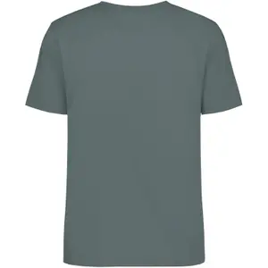 Cotton T-shirt Didriksons Harald Collegiate image-1