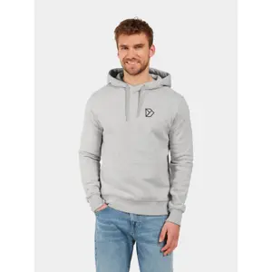 Hooded Sweatshirt Didriksons Ven Lands 2 image-1