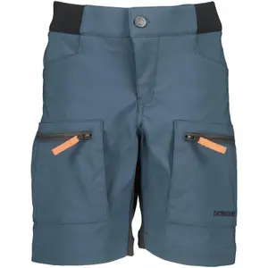 Children's shorts Didriksons Ekoxen 2 image-0