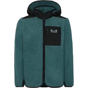 Children's zipped fleece Didriksons Exa 2 image-0
