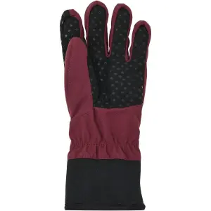 Gants de ski enfant Didriksons Lovas Five FI 2 image-1