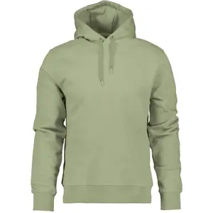Hooded sweatshirt Didriksons VEN Lands image-0