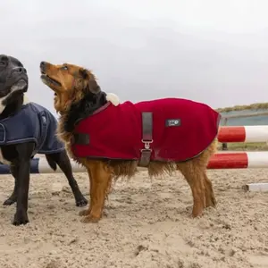 Hundfilt i fleece Diego & Louna Teddy