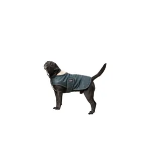 4090308-hundfilt-i-fleece-diego-louna-teddy-gron