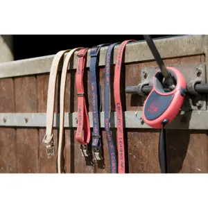 409250040-hundhalsband-i-nylon-diego-louna-korall-antracit-40-cm-x-2-cm