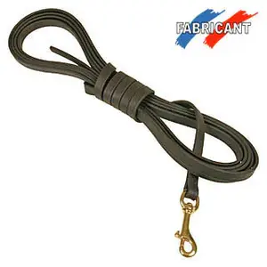 Correa para perro Difac Biothane image-0