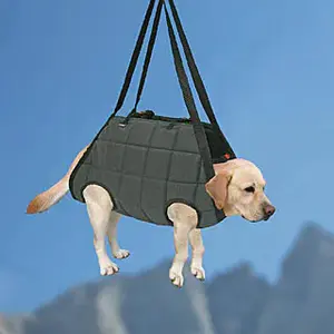 Hundegeschirr Treuillage T1 Difac image-1