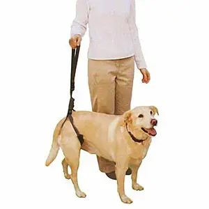 Dog harness to support the hindquarters Difac image-0
