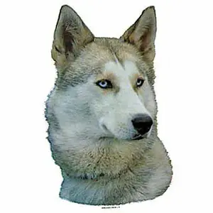 Aufkleber Difac Husky (x2) image-0