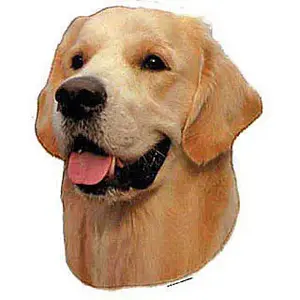 Kopfaufkleber Difac Retriever (x4) image-0