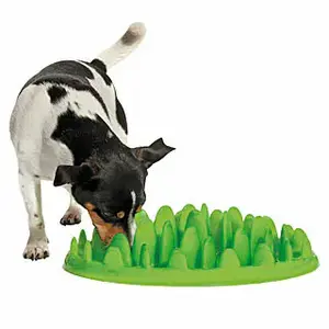 Hondenspeelgoed Difac Green Slow Food image-2