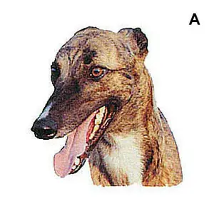 Samolepky Difac Greyhound (x2) image-0