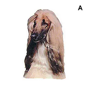 Autocollants tête Difac Lévrier Afghan (x2) image-0