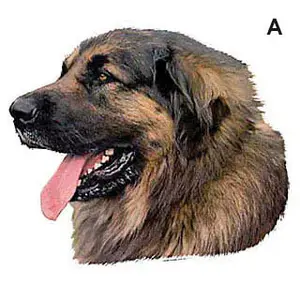 Aufkleber Difac Leonberg (x4) image-0