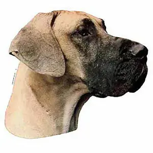 Autocolantes de orelhas compridas Difac Dogue Allemand Fauve (x2) image-0