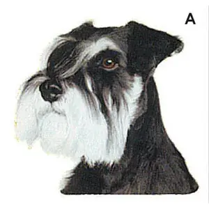 Stickertjes Difac Schnauzer (x4) image-0
