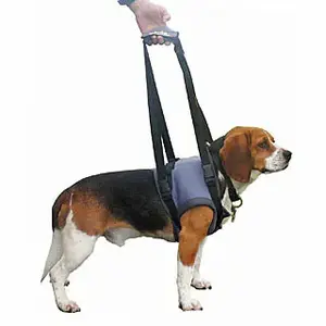 Rückenstützgurt für Hunde Difac image-0