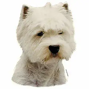 Stickertjes Difac Westie (x2) image-0
