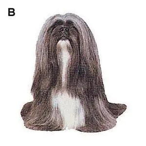 Stickertjes Difac Lhassa Apso (x2) image-0