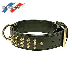Collier pour chien Difac image-0