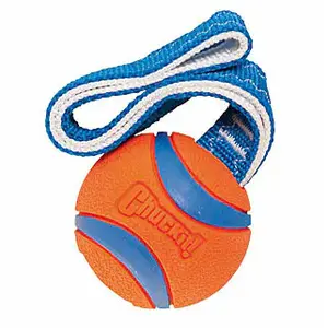 Großes Hundespielzeug Difac Ultra Tug image-0