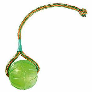 750070-hundebold-med-snor-difac-everlasting-fun-gron-9-cm