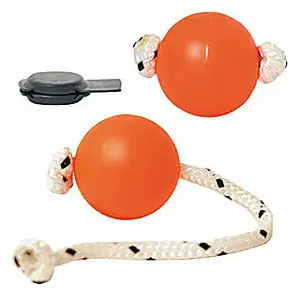 Hundebold med magnet Difac Profi-set image-0