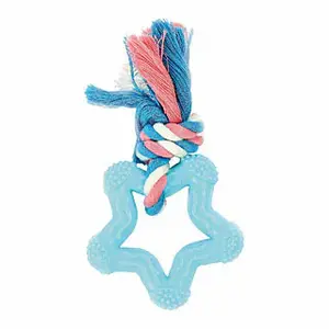 Hondenspeelgoed Difac Star Teether image-0