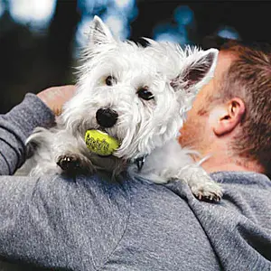 Tennisbal voor honden Difac Squeaker image-1