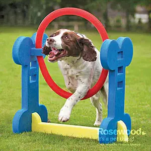 Jeu de stratégie pour chien pneu agility Difac image-0