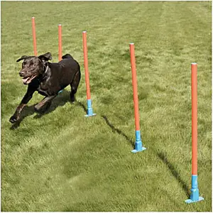 Hindernisstäbe für den Garten für Hunde Difac Slalom image-0