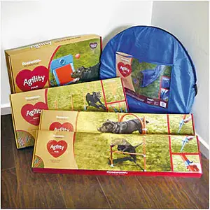 Hindernisstäbe für den Garten für Hunde Difac Slalom image-1
