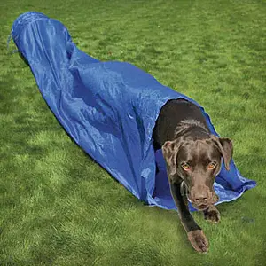 Hundespieltunnel Difac Garden image-0