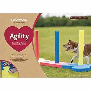 Hundeball Difac Garden