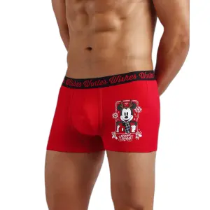 Boxer di Natale Disney Mickey image-0