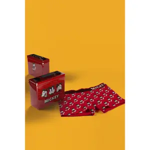 Children's boxer shorts Disney Mickey State image-1