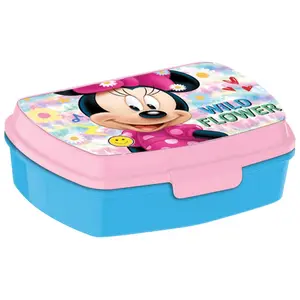 Sandwich box Disney image-0