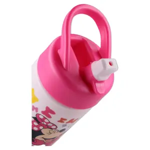 Gourd Disney Cantimplora Pajita image-4