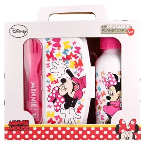 Sandwich box and bottle set with cutlery Disney image-0