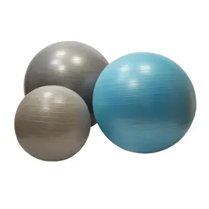 Gym ball - swiss Disportex image-0