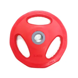 Disque de musculation pump à poignée Disportex image-0