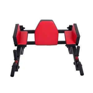 Roman chair - dip station 2 in 1 Disportex image-1