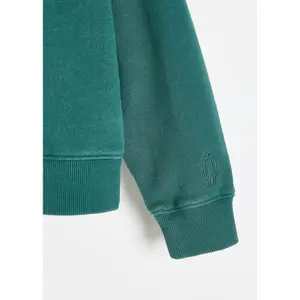 Baggy sweatshirt til piger Diverse Coalition SK8 image-3